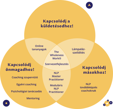 A Soft Skill Akadémia képzései diagramon ábrázolva